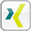 Xing Icon